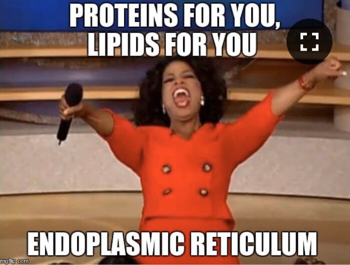 TRecticulum's tweet photo. #organellewars #Bio2019Frazee https://t.co/CbwoZCymOZ