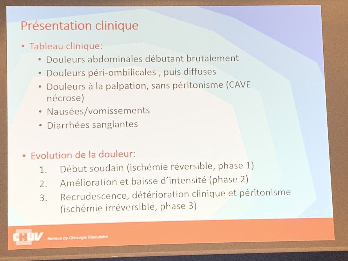 VisceralChuv's tweet photo. #CesarRoux 2019: Dr. Déglise, chirurgien vasculaire au @CHUVLausanne. Présente les possibilités de revascularisation en cas d’ischémie mésentérique. Plusieurs questions et dilemmes. Excellente revue! #VascularHealth @AngiologieCHUV @ProfDemartines @VisceralChuv https://t.co/NVIJbPQV3l