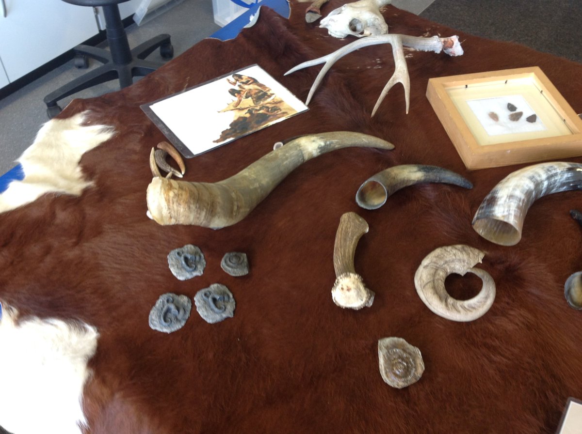 TGPS_NorthLincs's tweet photo. Year 3 enjoyed their stoneage workshop, which kick started our Stone age to Iron age topic. We explored artefacts, travelled through time and built our own shelters. #TGPShistory #TGPSengaginglearners https://t.co/WbMti3lLaT