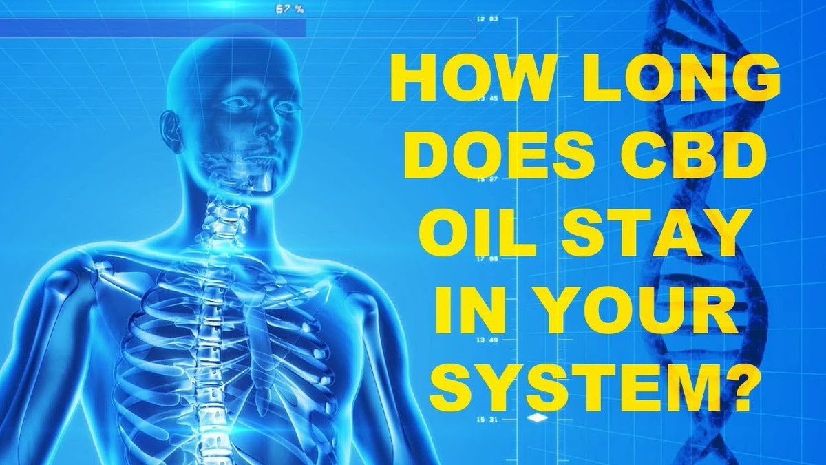 How Long Does CBD Stay In Your Body? weedzmagazine.com/how-long-does-…