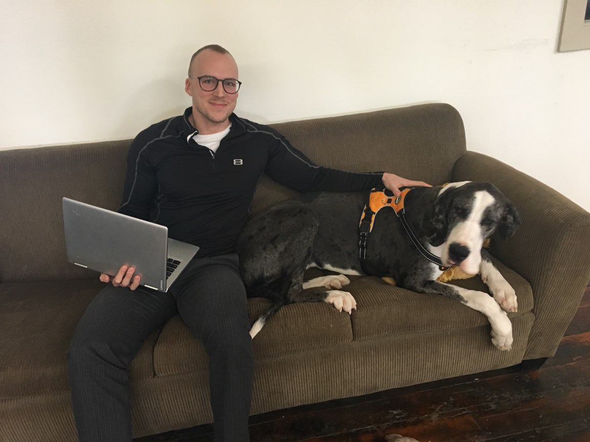athenium's tweet photo. This week’s #CompanyCanine is intimidating at first sight, but don’t let her fool you. Venus, adopted by our director of strategic products Josh Watkinson, loves bugs. And don’t leave your coffee unattended – she loves a good dark roast with cream and sugar. #greatdane https://t.co/XvOJc3sU4t