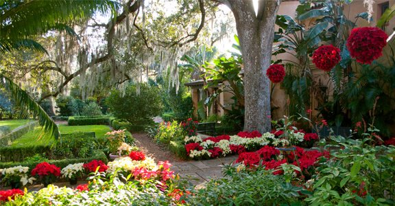 VisitCentralFL tweet picture
