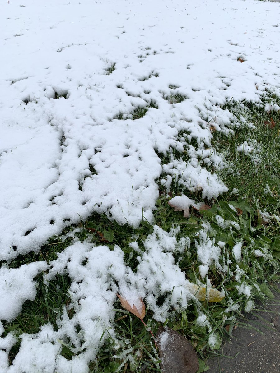 SidPeterson17's tweet photo. The first of many to come, unfortunately. Wasnβt quite ready for this to start so soon. #FallisGone #WinterisHere #StaySafeOntheRoads https://t.co/oRLF9Zet6q