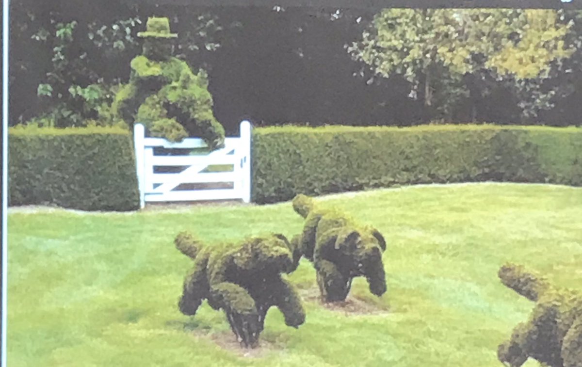 laurie_ringe's tweet image. After reading The Night Gardener, by the fabulous Fan brothers, @opifan64, we watched some topiary videos to solidify our learning. #mrscallicoat💜#deepdiscussion #kidsdoingthework #fanofthefanbrothers