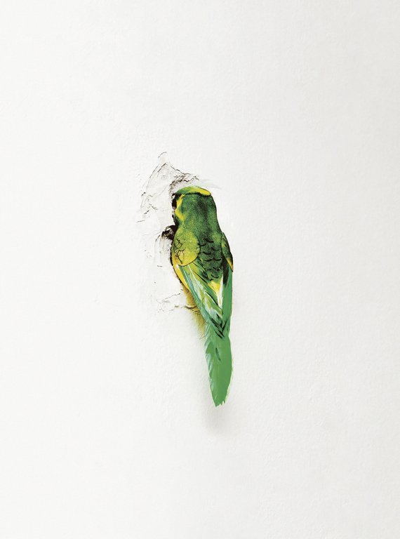 MOSTYN_Wales_'s tweet photo. Ariel Reichmanis just one of the artists showing in the 21st edition of #mostynopen Vote for your favourite to win the Audience Award #artprize voting closes 20/10/2019 exhibition ends 27/10/2019 https://t.co/sdnZ2xU5eZ  @Arts_Wales_ image: courtesy the artist https://t.co/2kdLIdGdSd