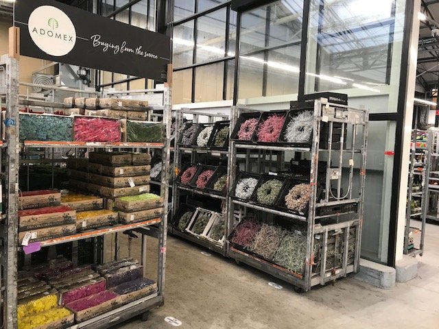 Adomex's tweet photo. Deco en mossen, nu @waterdrinkergreentradecenter. Zie hier een sneak preview. Kom gauw kijken! #deco #mossen #adomex #waterdrinker #greentradecenter #inspiration #daretobecreative #dekrachtvangroen #greenpowers #adomexinternational https://t.co/Iz4KSQZkEK