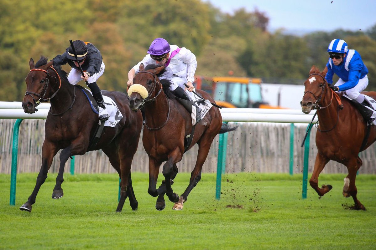 Jour_de_Galop's tweet photo. ALEXANDER JAMES (Camelot @Coolmore) remporte le Px Le Fabuleux (L) pr son 1er essai ce niveau. Première Listed pour A.-S. Crombez. Déception avec ARAMHES, seulement 6e. @GoffsUK @GayKelleway @fgchantilly 📸 @ScoopDyga https://t.co/65neqC3yvb