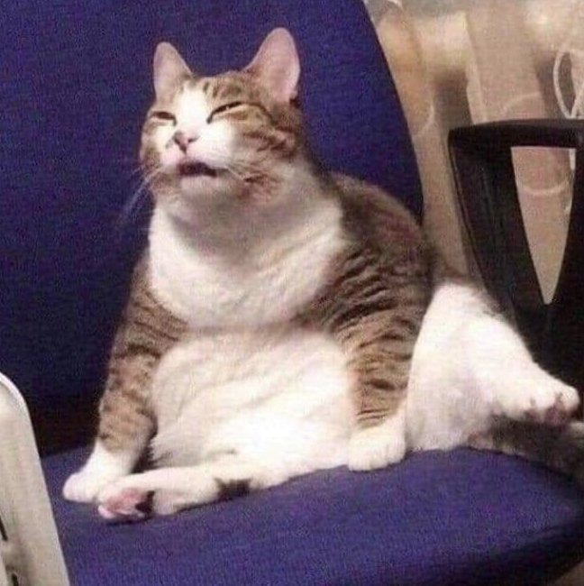 DMoser92's tweet photo. Spirit animal everytime I open social media https://t.co/5NTFaBZBse