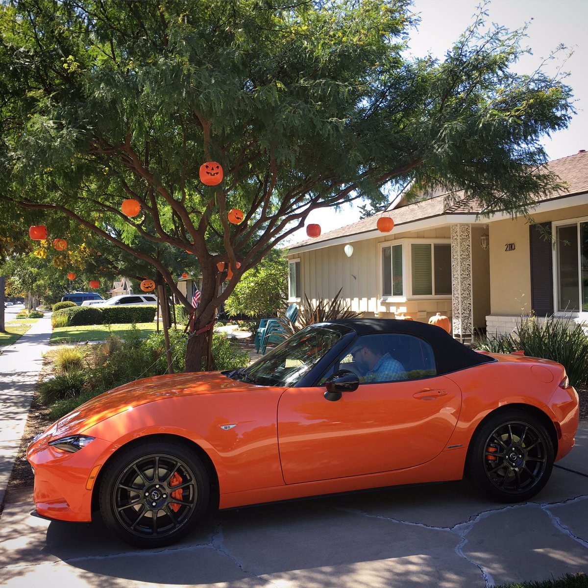 TracyEdmunds's tweet photo. Perfect for an October road trip
#miata #miata30thanniversary #30yearsofmiata #30thanniversarymiata #mazda @mazdausa https://t.co/GdiXU4vzAk