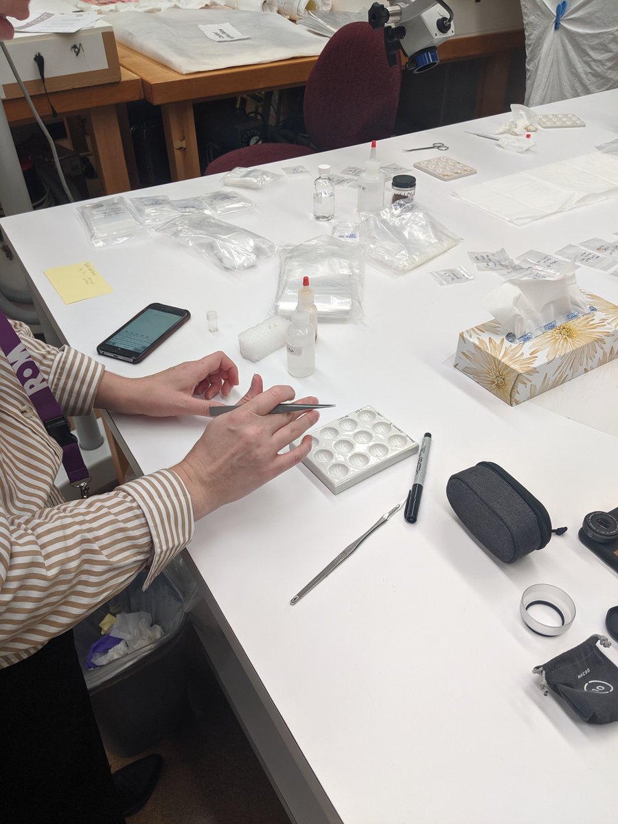 chernairn's tweet photo. 9 MORE DAYS...to support our Mummy Project!! The fun never stops - this week conservation did some dye analysis on Djutmose's linens ๐ฎ๐๐ฉโ๐ฌ Learn more @ https://t.co/CWZoZx5JCV
#ROMbts #collectionsmanagement #EgyptianCollections https://t.co/dYCLrFGIyO
