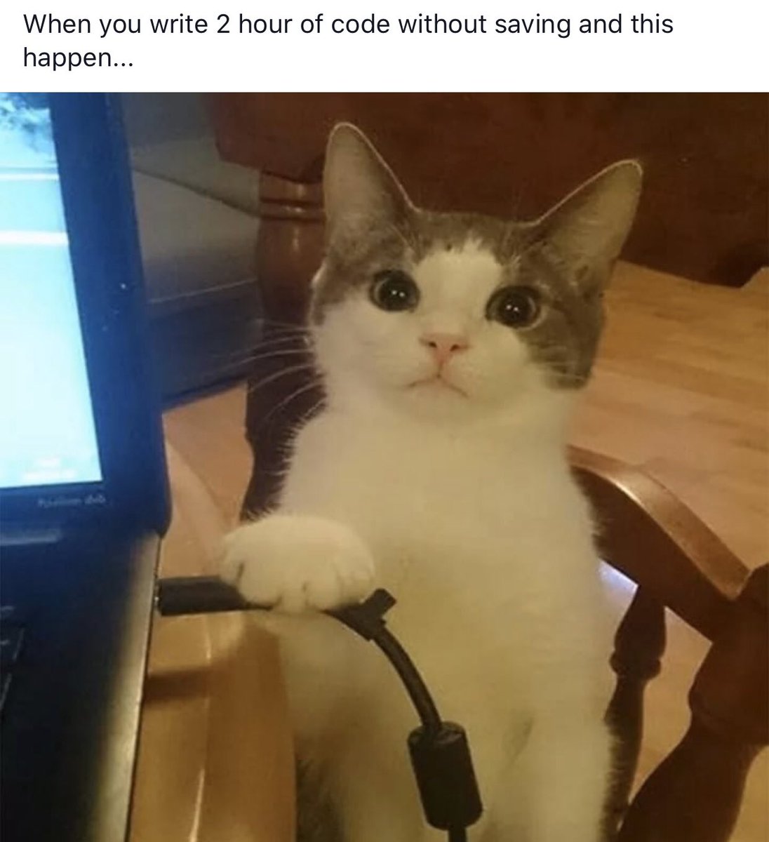 incrediblecast's tweet image. While y'all hehe keke at this pic, it's real life for me 😩😭🤧
#codinglife #cats #codingwithcats #codingjokes