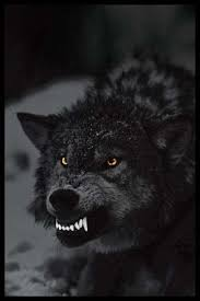 CoachDBartel's tweet photo. Nothing quite like a rivalry game. . .is it 7 o'clock yet?

#EastlakeVsSkyline 

#BloodMoon

#ShatterTheGlass

#WSPS https://t.co/6OYfP8IYvT