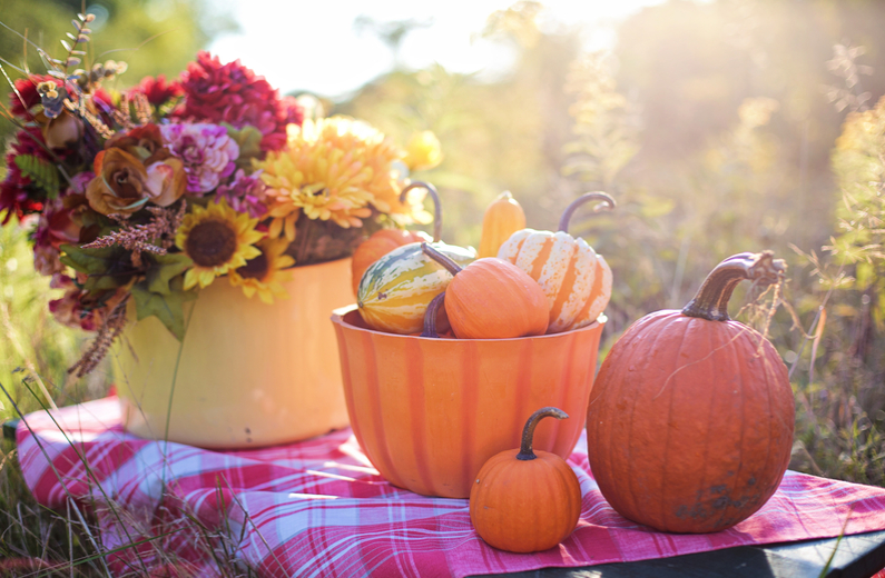 FastocheHappy's tweet photo. Friendly reminder, we will be closed Monday, October 14th for Thanksgiving. Wishing everyone a safe and happy holiday weekend! #cndchildcare #ECE #ThanksgivingWeekend 🦃 https://t.co/kmJGpBEgD7