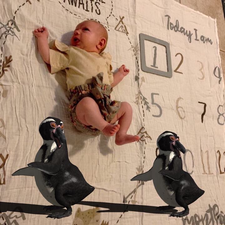 Brandy Lynn Jones <a href="/thatredhead93/">Brandy Lynn</a> snapped this picture of my new grand baby Delilah Belle Jones 
Guess who is baby sitting and dancing for her to keep her entertained 😀🐧🐧
Penguins love the little mermaid 🧜‍♀️