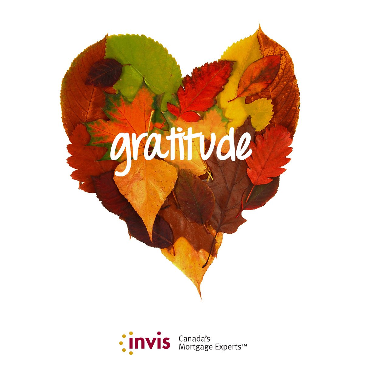 PowerhouseYMP's tweet photo. We are Thankful for all the people we meet in person and through social media. Wishing you all a beautiful Thanksgiving weekend.   
#calgary #thanksgiving2019 #yycre https://t.co/ZlU7BfIiDm