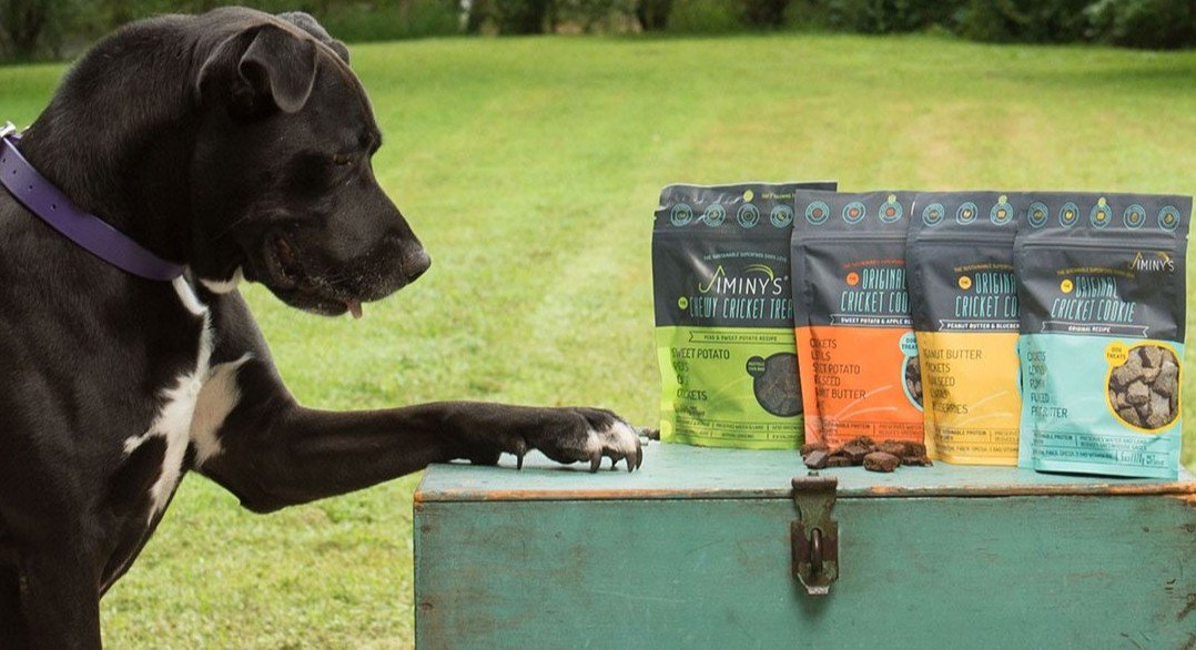 jiminysforpets's tweet photo. Four reasons we love fall! 🍃💙
•
•
•
•
#jiminys #jiminysforpets #crickettreats #dogtreats #cricketdogtreats #dogsofinstagram #doginstagram #puppy #puppyinsta #puppyinstagram #dogtreat #healthy #sustainable #delicous #dogig #dogoftheday #dogoftheweek #fall https://t.co/zwV227fGpp