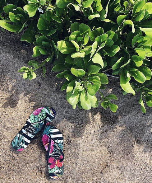 treadfresh's tweet photo. Transporting somewhere tropical this winter with Havaianas #Havaianas https://t.co/14kE4rDUlf https://t.co/69BLcLgsGL