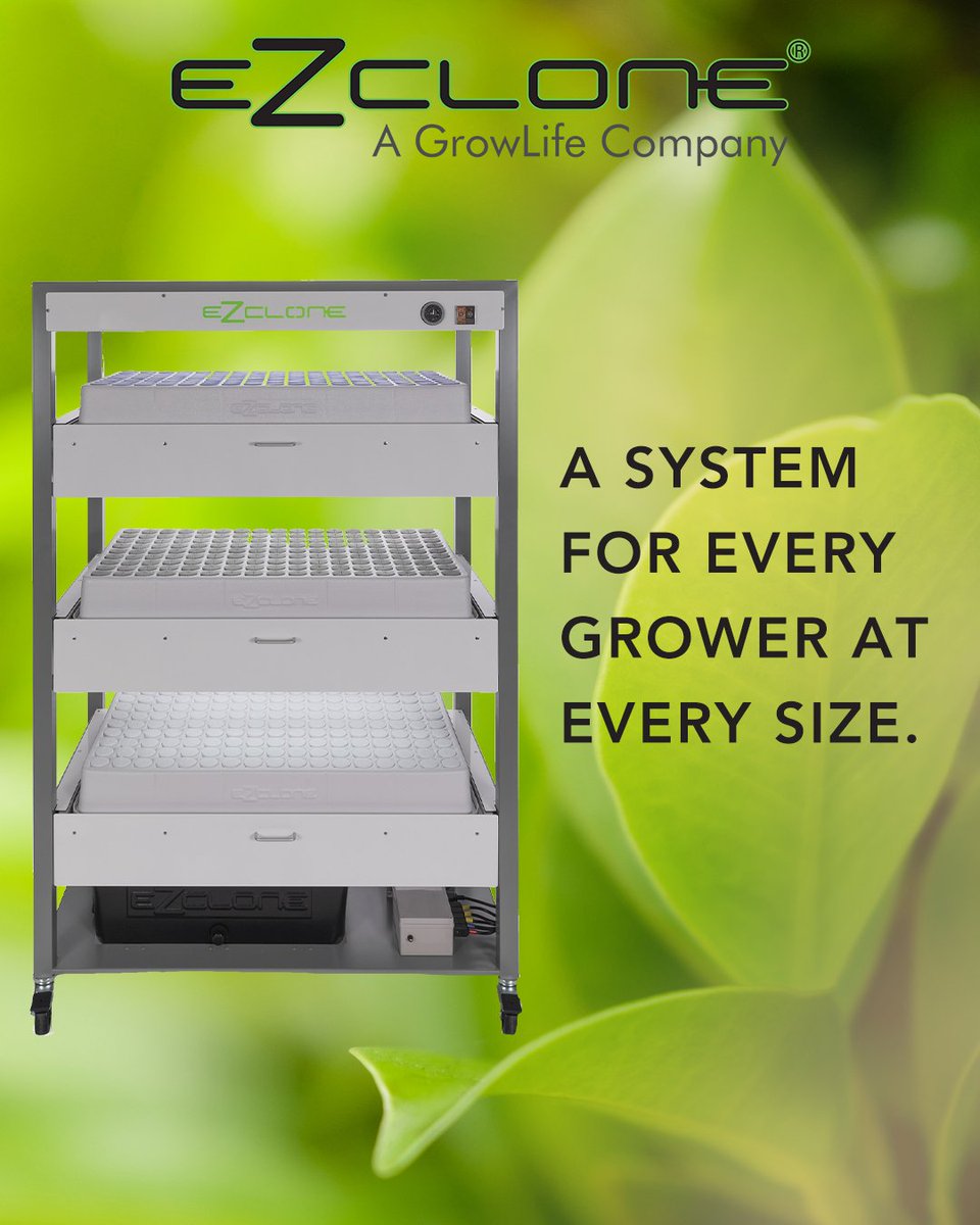 From sizes ranging from small to commercial, EZ-CLONE has a system perfect for your needs. 

Check them out with the link in our bio!

#clone #ezclone #growlife