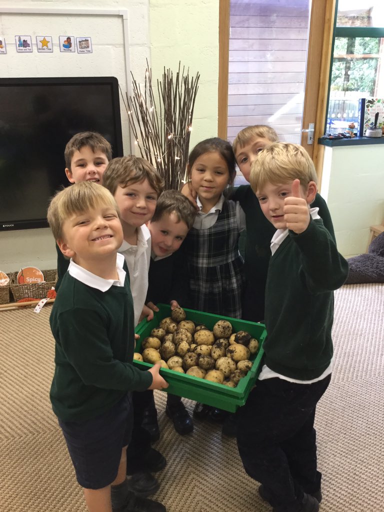 The children are delighted with their crop of potatoes. Well done gardening club!#green fingers