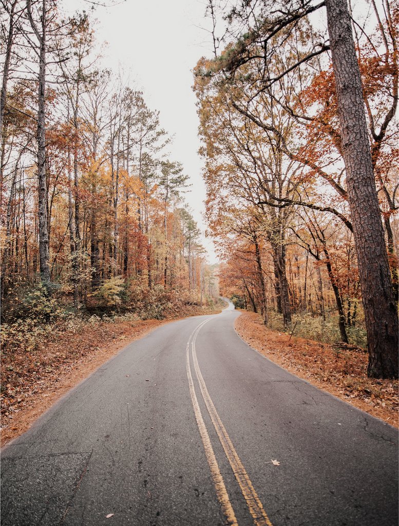 bpnutrition's tweet photo. Sticking to your weight loss goals in the fall and winter can feel like an uphill battle
Worried about winter weight gain? Click in the link in bio to learn tips that will help you stay on track this season #Bulletproofblog https://t.co/6AWdWllUWx