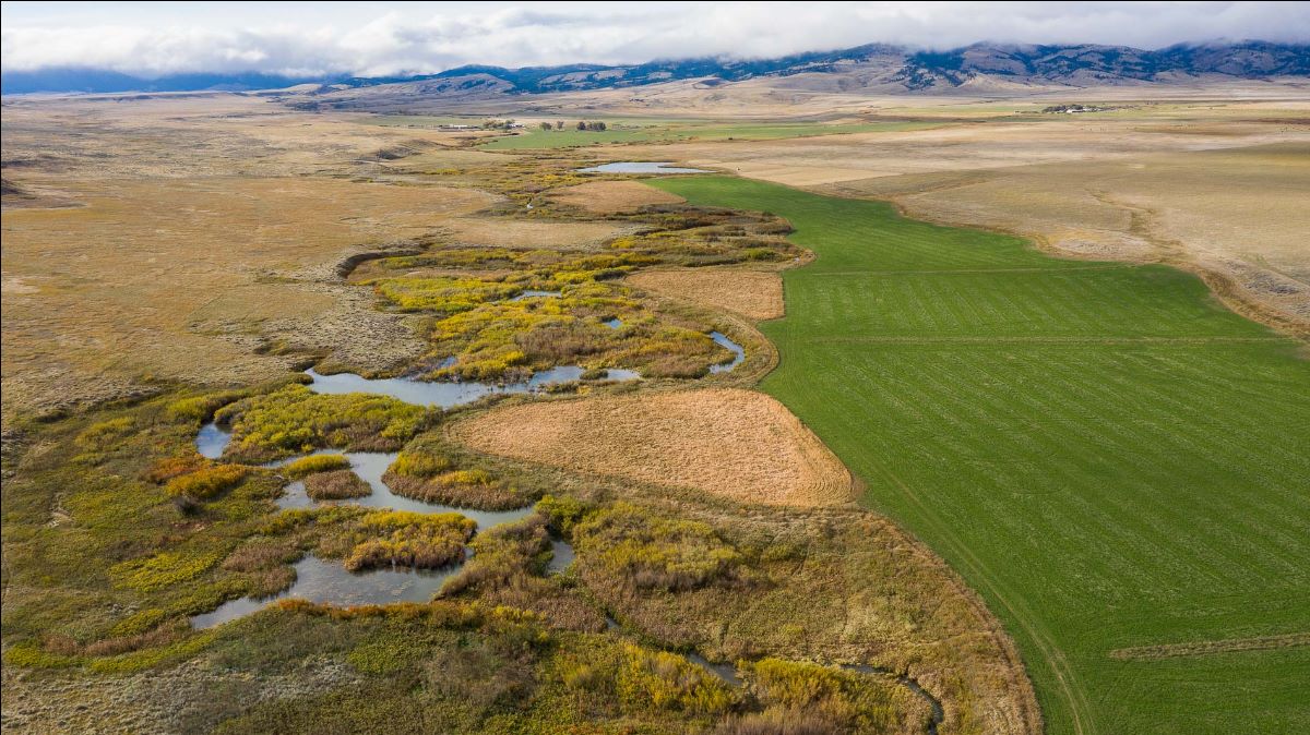 phillips_realty's tweet photo. New Offering! Black Butte Ranch - https://t.co/myHqq2Kjnm
#phillipsrealty #est1982 #centralmontanarealestate #centralmontanafarmandranch #takealook #bealandowner #huntingland #hunting #blackbutteranch https://t.co/Jrv2YRumj3