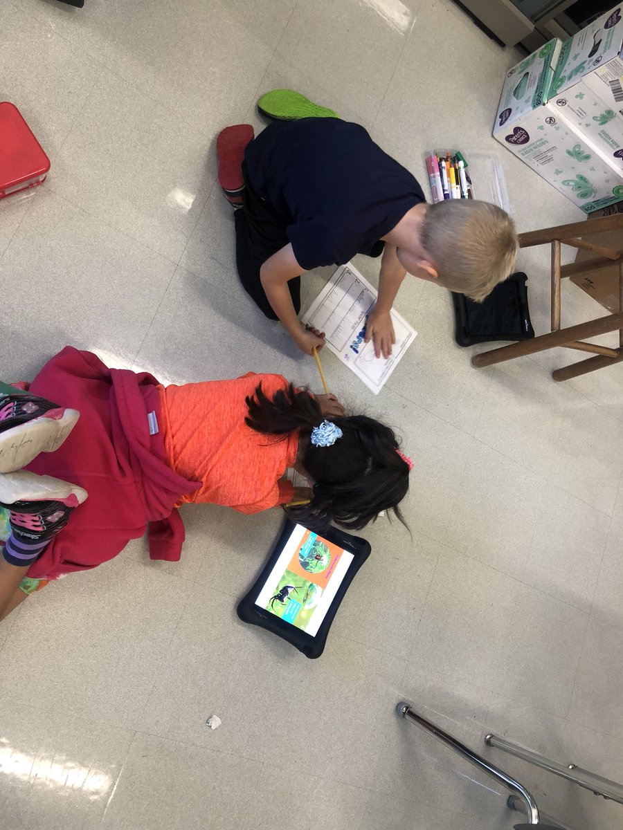 KuptzAmy's tweet photo. Students working in pairs to research spiders on Epic! They had to find at least 3 facts about the spider🕷 I love seeing students relying on one another! https://t.co/iiuzj4g5aq