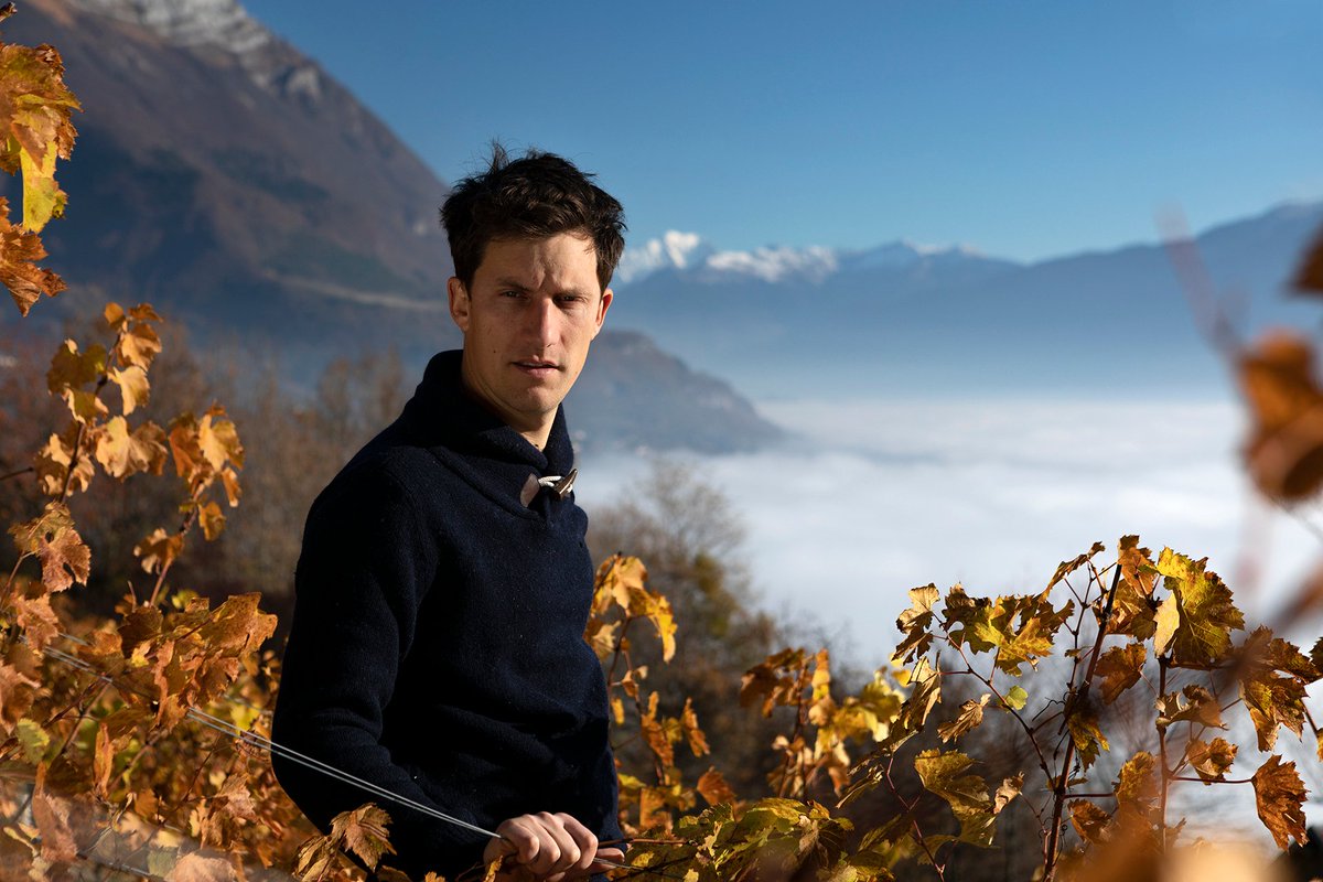 viamowines's tweet photo. ✨Passion. Défi. Altitude.
Retrouvez le portrait de Nicolas Ferrand ici https://t.co/RyQvAuB584 . Et ses vins sur https://t.co/fJKTRhQXJQ.🙏
#viamo #viamowines #winegrower #vigneron #nicolasferrand https://t.co/0lpQsB1t5K