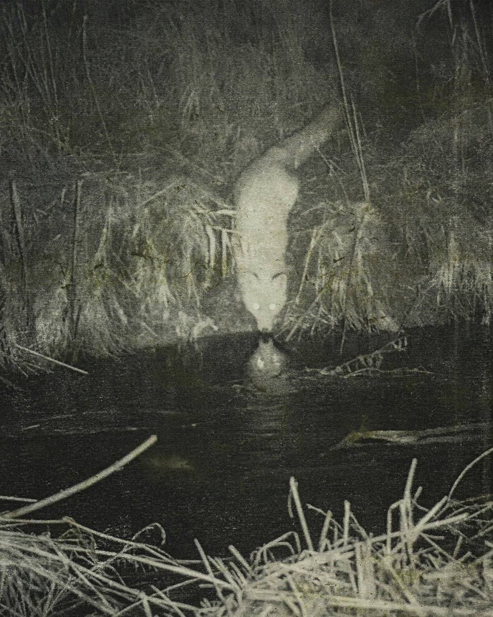 BopBristol's tweet photo. Photographic artist Stephen Gill is travelling from Sweden to join #BOPBristol19 😍 He will have a stand in the @MartinParrFDN gallery and be signing books throughout the weekend. Come and say hi 👋 Here is a preview of his recent publication, The Night Procession, 2014 - 2017. https://t.co/gS8G0CXzcZ