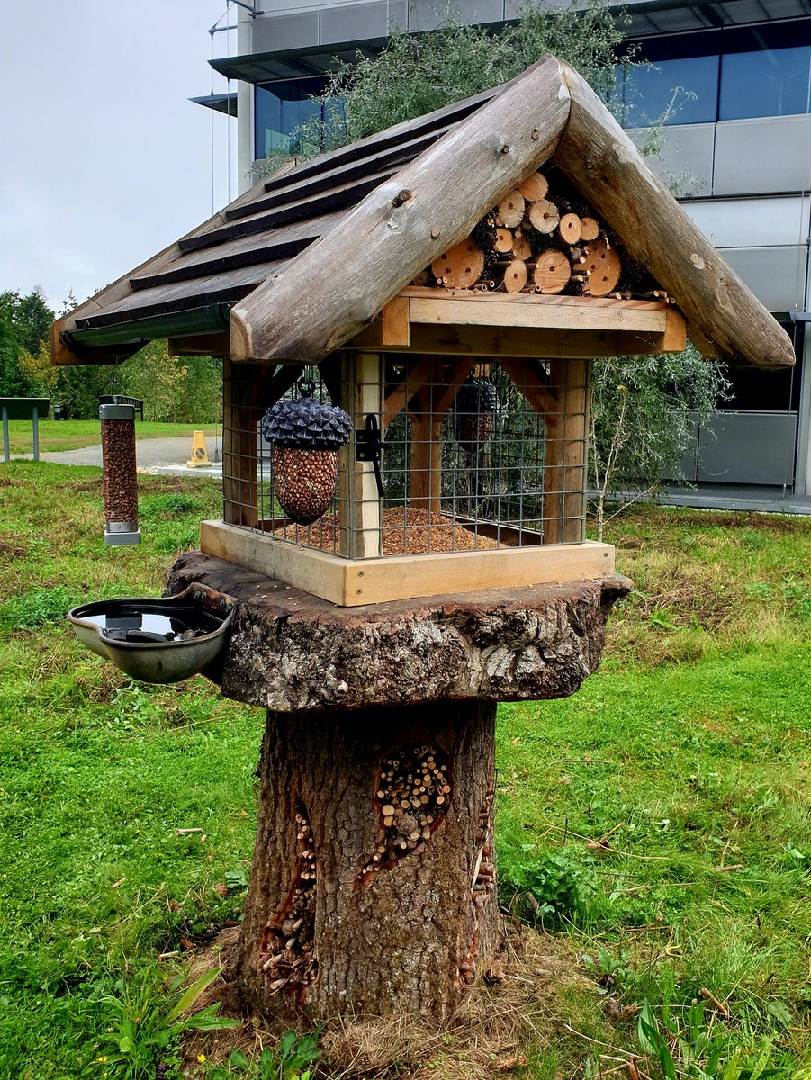 Andrew Wright On Twitter I Ve Fitted Mesh To My Clients Bird