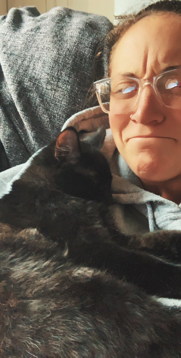 abbybend's tweet photo. Never ever did I think I’d become a cat person, but here we are🤷🏻‍♀️ https://t.co/xa4I7zZ9NX