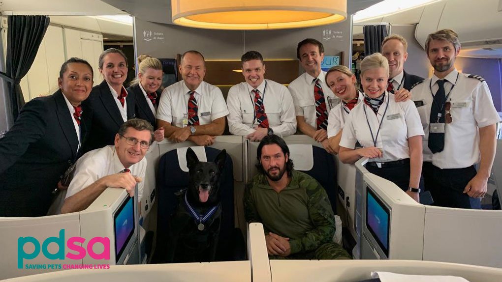 PDSA_HQ's tweet photo. #FlashbackFriday to a few days ago when we said farewell to @hurricane_k9 & Marshall! It was fab having them in London to receive the #PDSAOrderOfMerit
This pair headed back to Washington, once again receiving VIP treatment thanks to @British_Airways #BAMagic. Bye for now! ๐ https://t.co/heytViD9ir