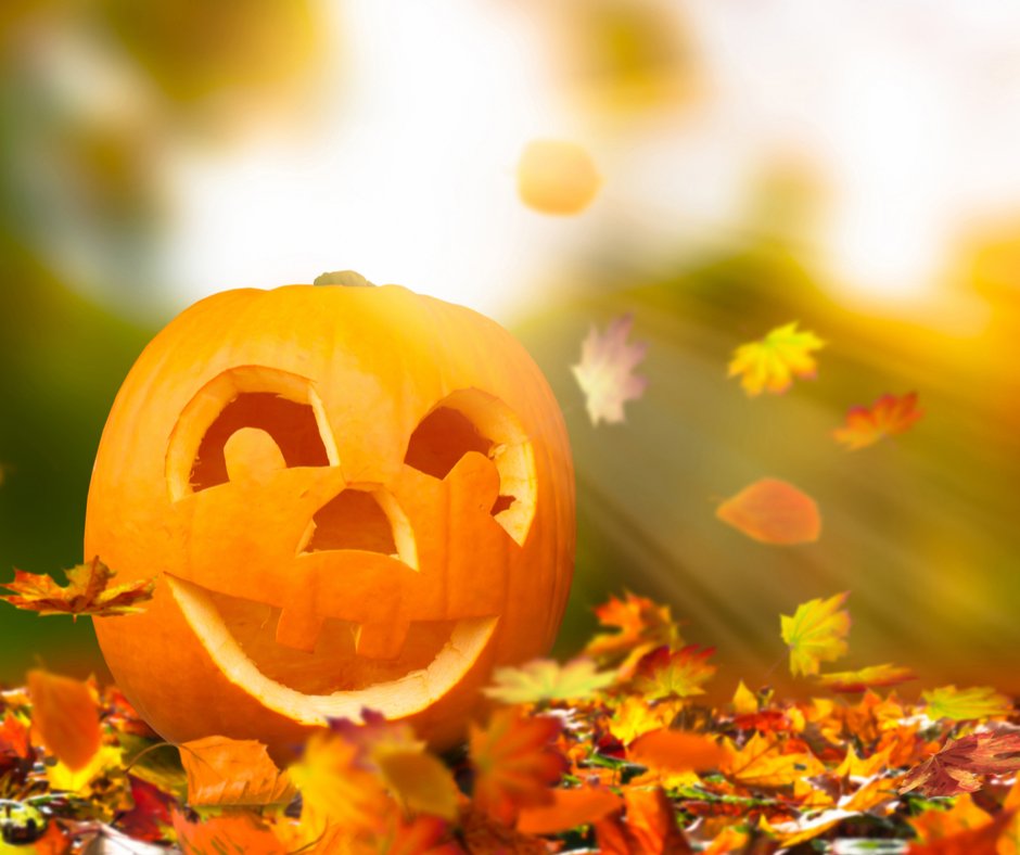 Carniceria Nacho on Twitter "How do you fix a broken pumpkin?🎃🤕 → With a pumpkin patch! 
