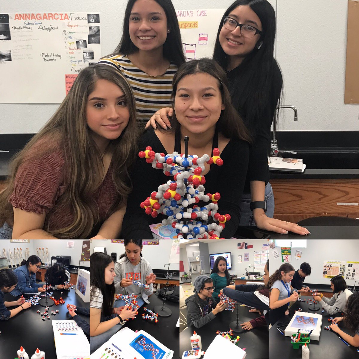 aluna0707's tweet photo. PBS: Reviewing DNA with these 3-D puzzles....not that easy! 🧬 #drlunasclass #sehsthebest #mychoiceSEISD #SEISDinspires #CTEWorks https://t.co/ekR4PI43GS