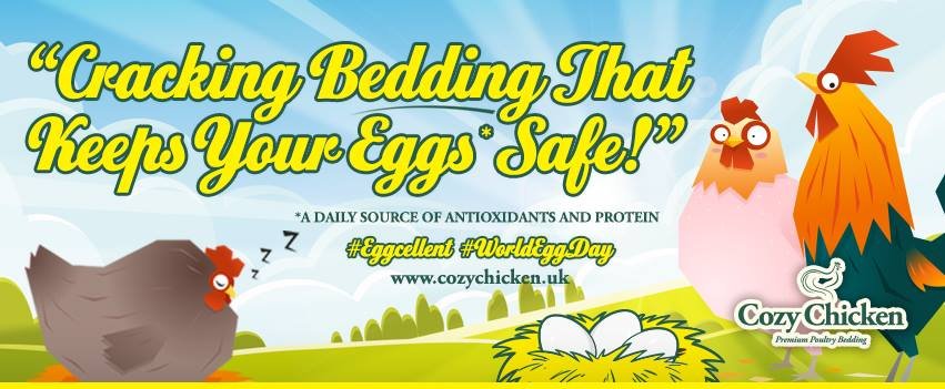 Cracking bedding that keeps your #eggs safe #cozychicken #poultrybedding #worldeggday #chickens #loveyourchickens