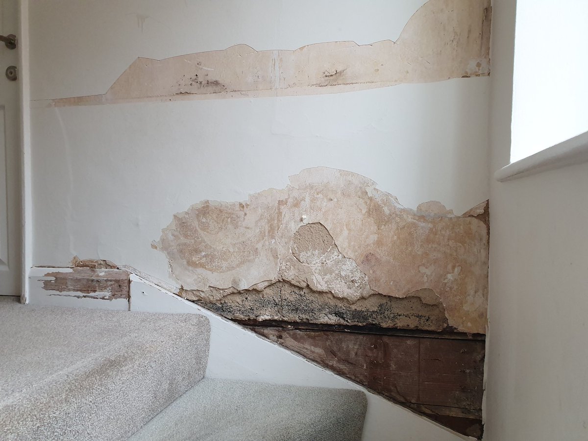 abilitex_ltd's tweet photo. Spot the difference? @decoratorsforum #Fixit #FridayMotivation #FridayThoughts @Sentinelscaff @MirkaUK @Festool_GB @Thombo30 https://t.co/4qgMUPkRUr