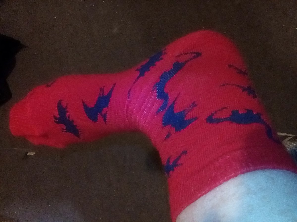 #FossilFriday  Dinosaur socks!