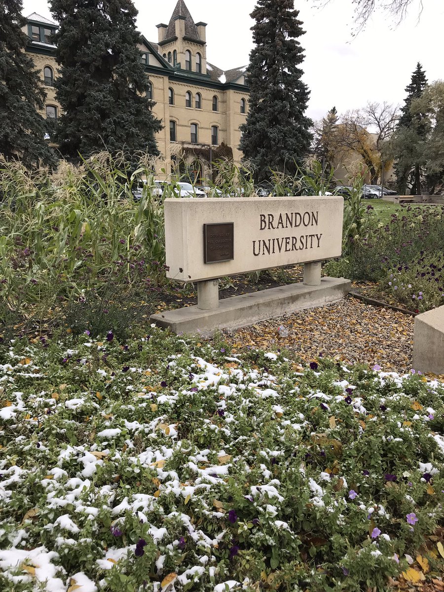 BU Student Life tweet media