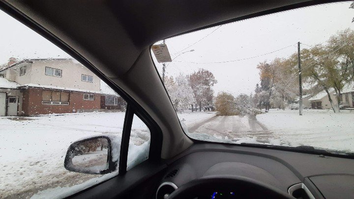 kozakworld's tweet photo. Fallen tree blocking Greendell Ave between St. Mary's Rd and Minnetonka St. in St. Vital.

#mbstorm  #Winnipeg https://t.co/a4ZaUKWOF4