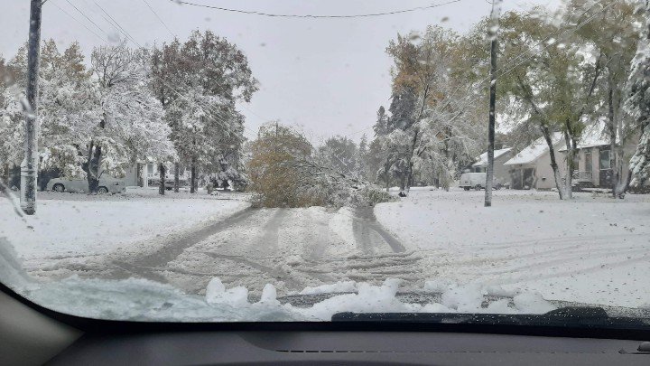 kozakworld's tweet photo. Fallen tree blocking Greendell Ave between St. Mary's Rd and Minnetonka St. in St. Vital.

#mbstorm  #Winnipeg https://t.co/a4ZaUKWOF4