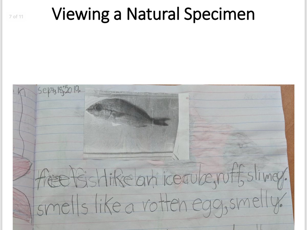 Monica Chadha tweet media