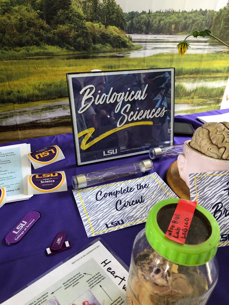 LSU_BioSci's tweet photo. Fall Fest 2019! Thanks to Kirt in the office, Jennie from the
@LSUHerbarium,@nicMross, @MorganWKelly for hanging out at our table! Thanks to @MaruskaLab, the Gleason Lab and our undergrad instructors for the specimens! #LSUFallFest @LSUCampusLife @lsuscience https://t.co/aN7evAWZez