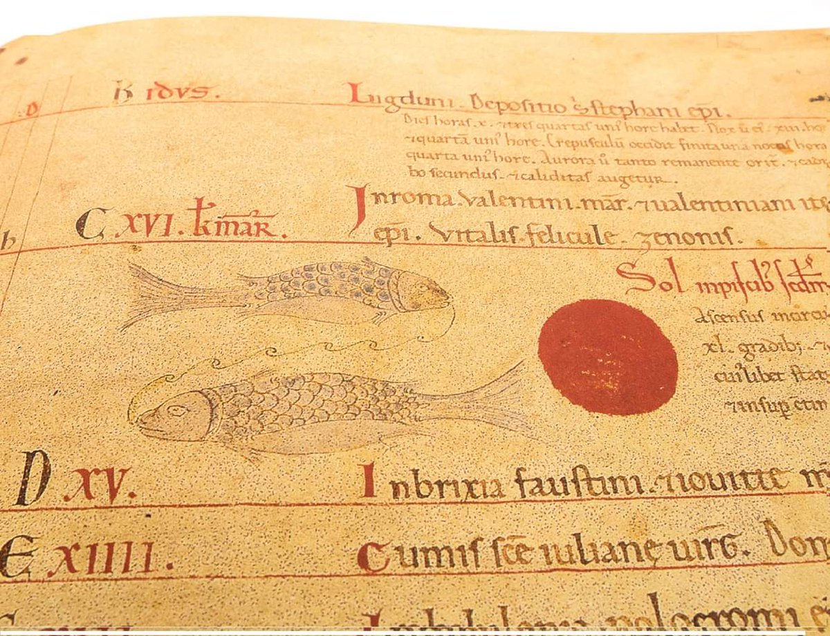 ElisaRamazzina's tweet photo. Pisces from the calendar preserved in Codex 65 preserved at the Museum of Piacenza Cathedral. A manuscript dealing with #astronomy, #astrology and #computus among other things ( mix 12th century).
#MedievalTwitter
#manuscripts #medieval #Piacenza #bobbio #zodiac https://t.co/if6ICLg7nn