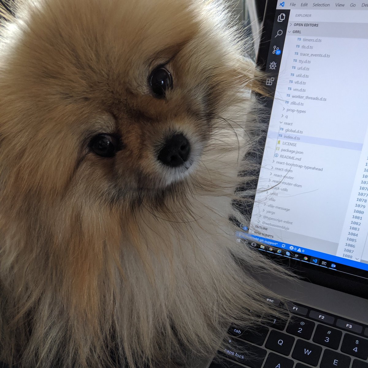 AndrewStellman's tweet image. #WorkDistractions