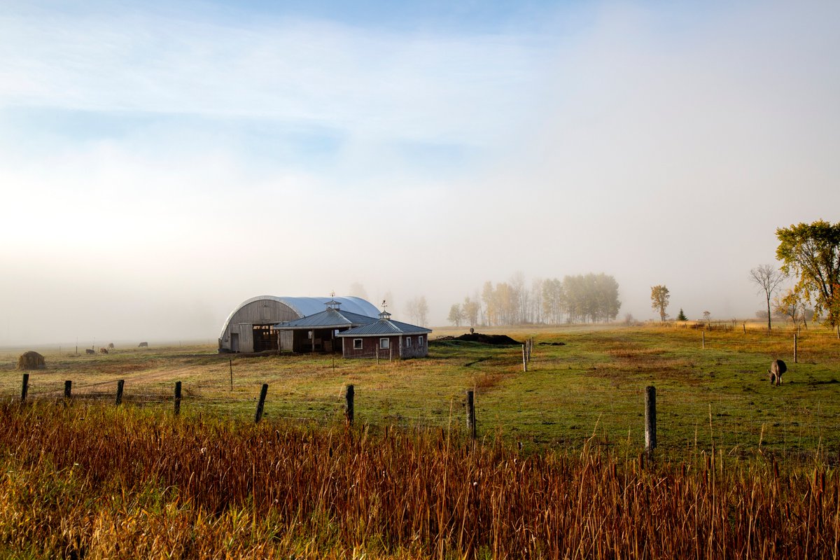 My favourite beauty shot from this week's trip to the Laurentians. Taken in Arundel, Qc.
