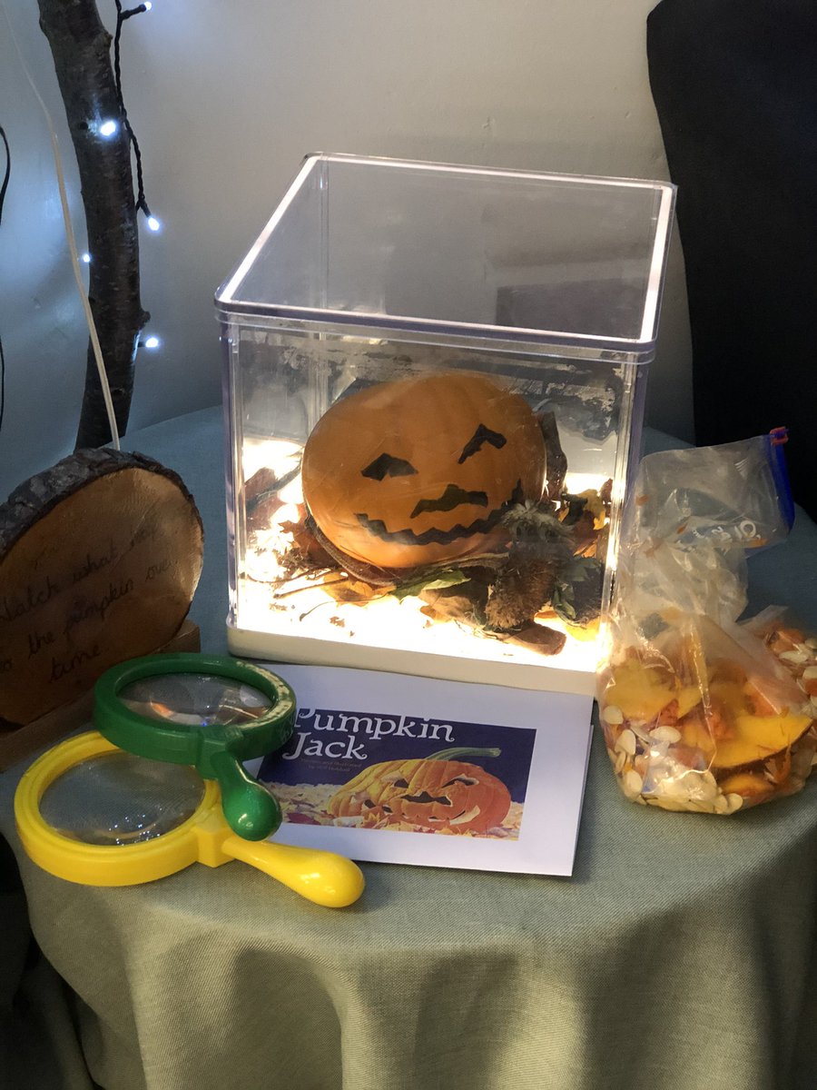 MrsAEYFS's tweet photo. Pumpkins Galore 🎃 My colleague and I enjoyed enhancing our provision in PPA today, ready for Monday! Lots of fine and gross motor and some very cute small world! #eyfs #eyfstwitterpals #eyfstwittertagteam #eywow #eytalking #earlyyears #coreprovision https://t.co/fGbSO83hos
