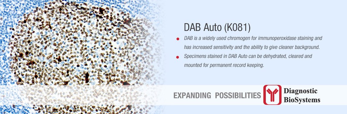 DBS_DxBioSystem's tweet photo. NEW PRODUCT RELEASED: DAB-AUTO K081
DAB, a widely used chromogen for immunoperoxidase staining...
Visit Diagnostic BioSystems today to know more:
https://t.co/1JxopvDL3Z
#dab #DBS #chromogenforIHC #IHC #chromogen
#dabauto #K081 #diagnostic #staining #newproduct https://t.co/yG0hhyelVI
