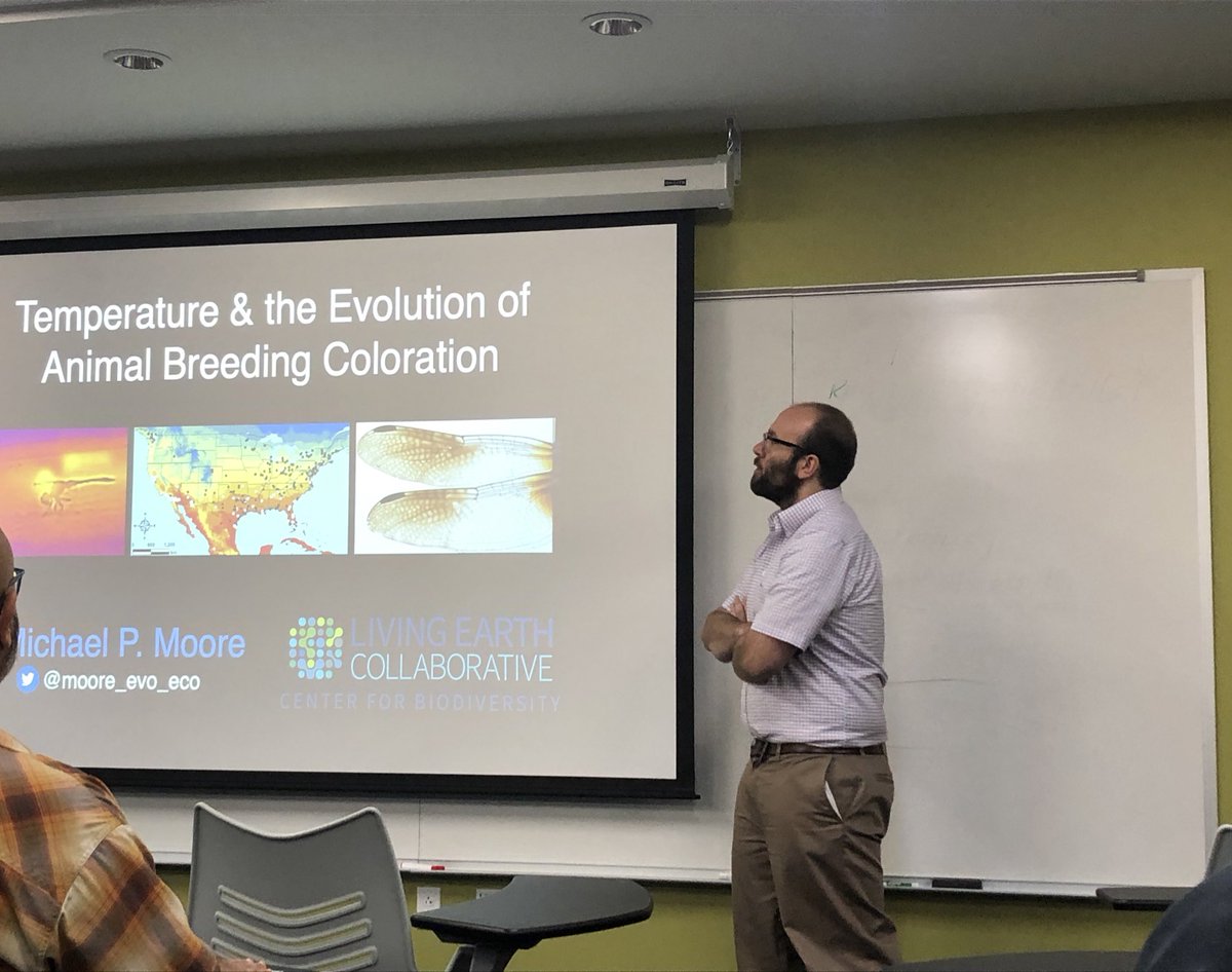 Borikenophis's tweet photo. Department Seminar - Dr Michael Moore @moore_evo_eco on temperature and the evolution of animal breeding with a focus on Dragonflies. LEC Post-doc in The Fowler-Finn Lab. Pretty great guy with a badass CV. #LivingEarthCollaborative @SLUBiology #FowlerFinnLab #TysonWashU https://t.co/y20KyuYsAp