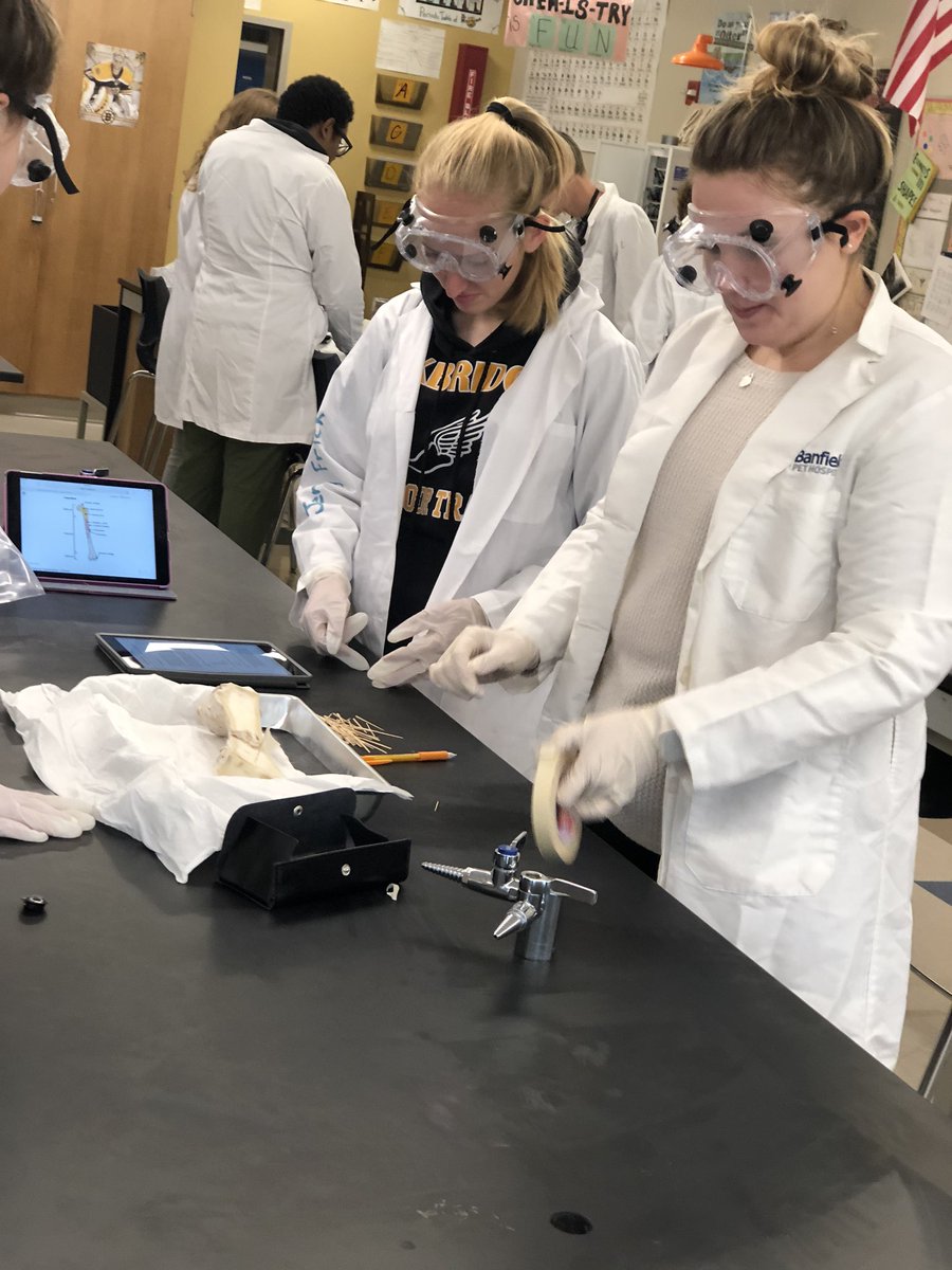 MrsTLLarkin's tweet photo. .who says half days are for no learning??? NOT #larkinHBSkids ~ focused on #bonedissections today #lovemyjob throw away the textbooks and  #learnthroughprocess @UxbHSPrincipal @UxbCurriculum @DrFrankTiano https://t.co/lkkjtFR8vJ