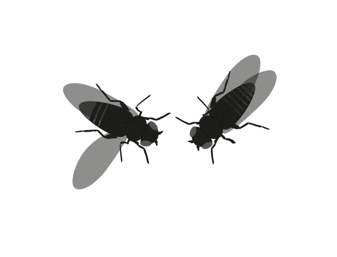 Getting your poster ready for @Neurosci2019 ? Would you like to make a great diagram to illustrate your behavioural set up, but are  busy enough debugging code and choosing colour schemas? scidraw.io can help with that ;)