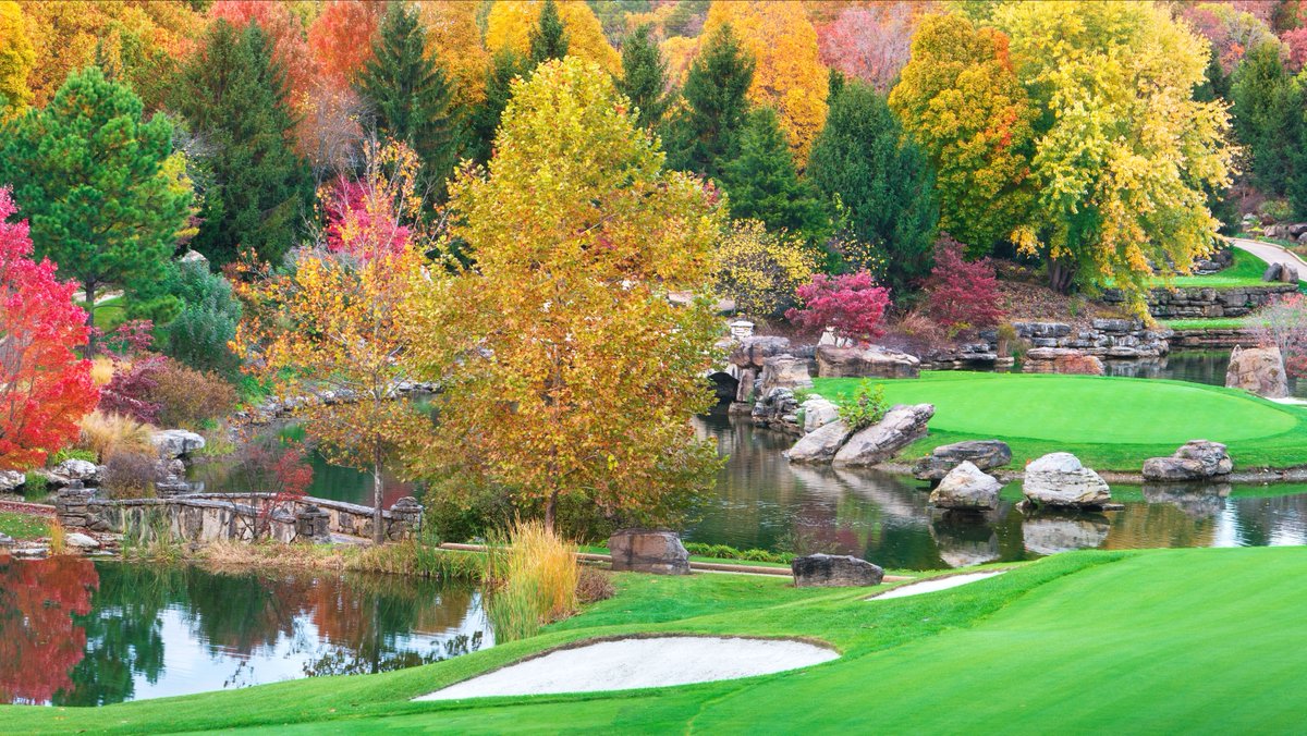 Big Cedar Golf tweet media